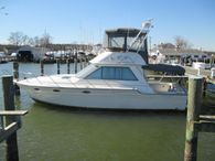 1987 Tiara Yachts 3600 Convertible
