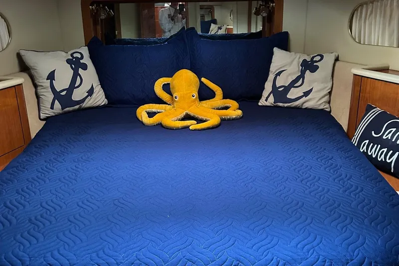 Fathom This Yacht Photos Pics Cozy cabin interior of 2001 Sea Ray 420 Aft, featuring nautical-themed bedding.