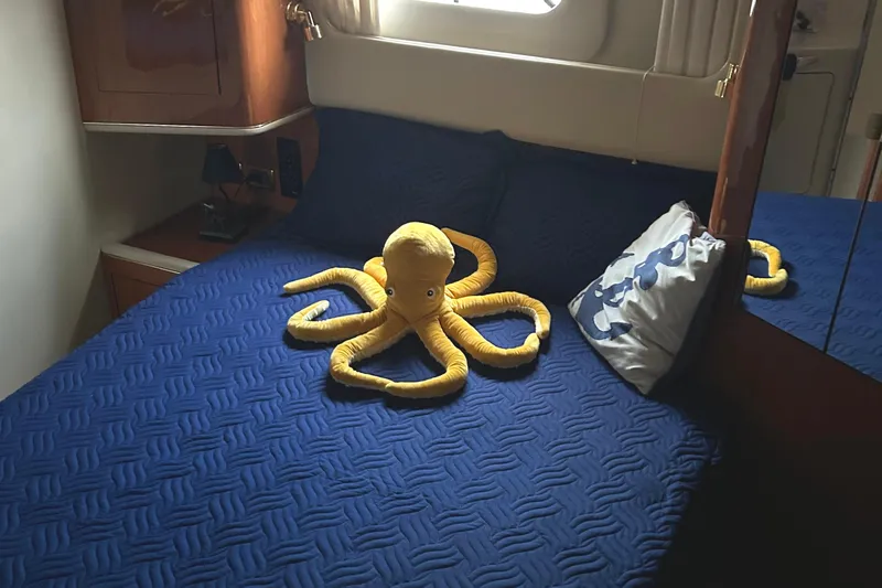 Fathom This Yacht Photos Pics 2001 Sea Ray 420 Aft Cabin bedroom with blue bedding and yellow octopus plush.