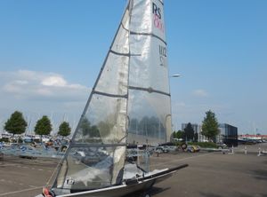2006 RS RS800