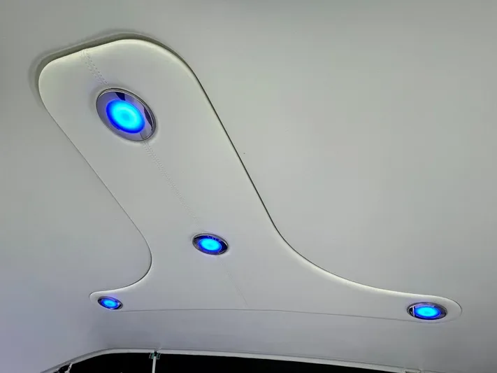 Nauti Dog II Yacht Photos Pics LED ceiling lights in 2021 Formula 40 PC boat.