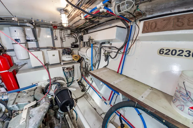 Summertime Lady Yacht Photos Pics 