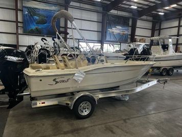 Scout 175 Sport Dorado