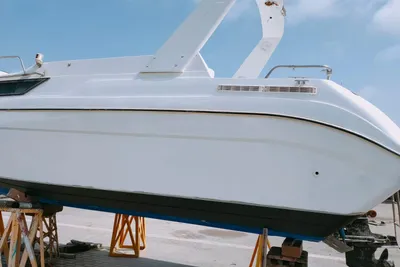 1993 Master Pro sea master
