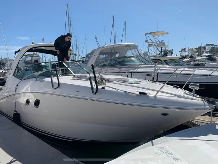 Summer Of Bob Yacht Photos Pics 2011 Sea Ray 330 Sundancer docked at marina under clear blue sky.