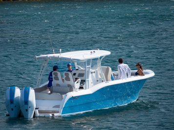 MarÃ­tima MT-31