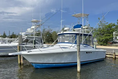 Luhrs 290 Open