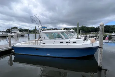 Albin 28 Tournament Express