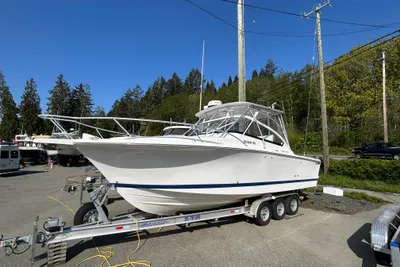 Luhrs 28
