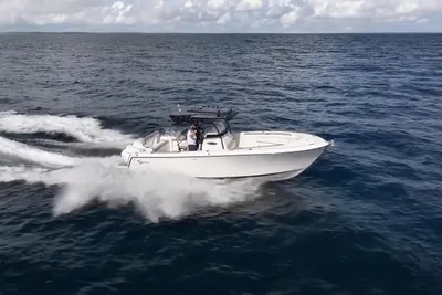 SeaWell 290CC
