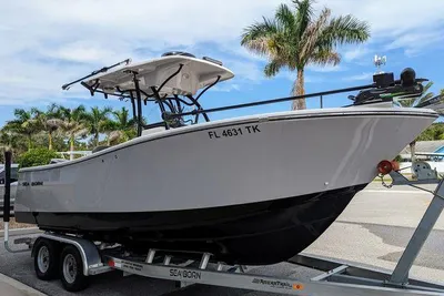 Sea Born SX239 Offshore