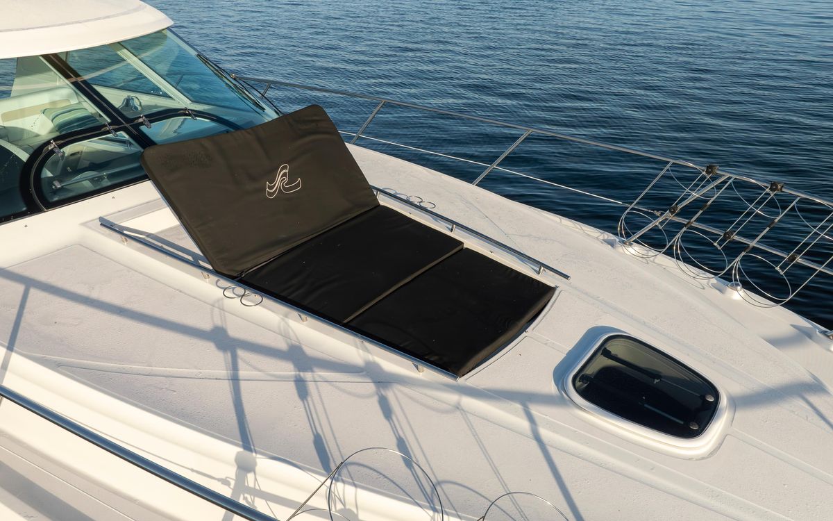 2010 Sea Ray 45 
