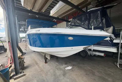 Cobalt 24 SD
