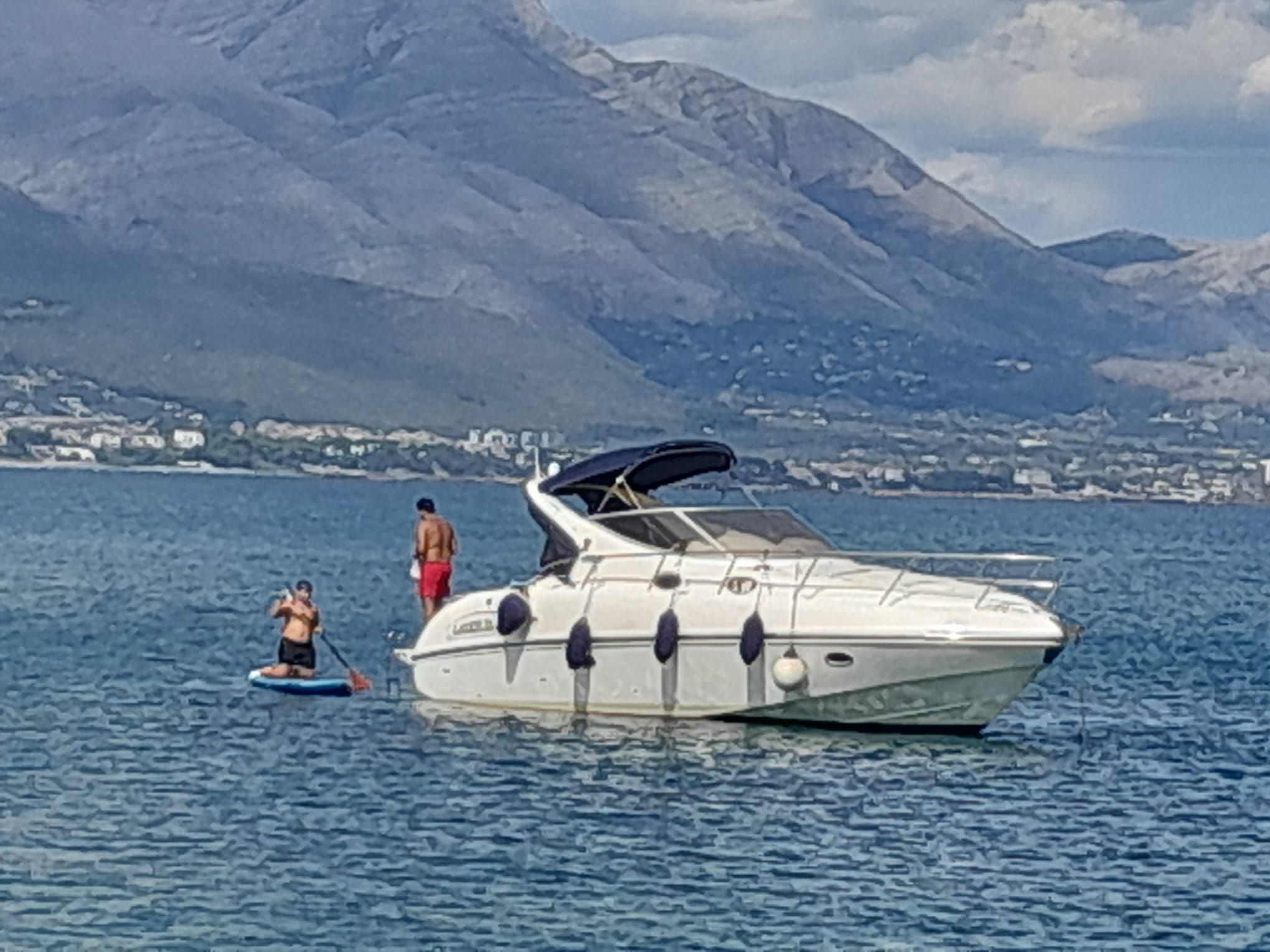2001 Salpa Salpa Laver 31.5
