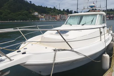 2003 Faeton 910