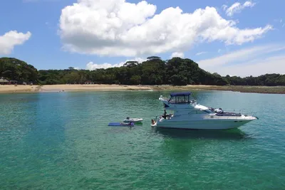 Sea Ray 435