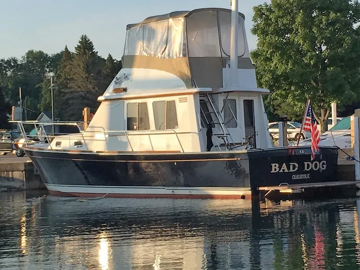 Bad Dog Yacht Photos Pics 
