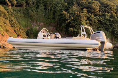 2019 Ribeye S785