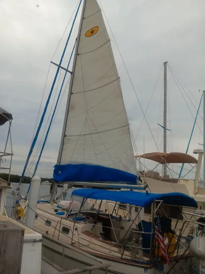 Babe Yacht Photos Pics 