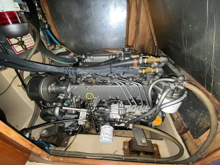 Babe Yacht Photos Pics 