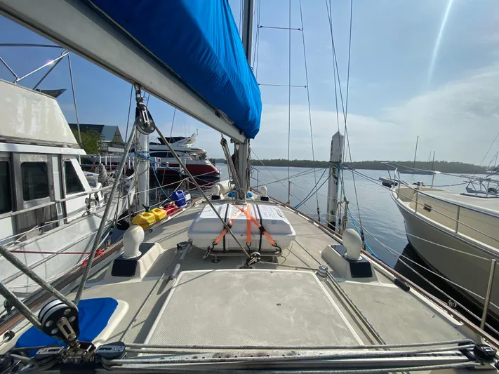 Babe Yacht Photos Pics 