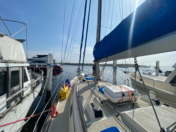 Babe Yacht Photos Pics 