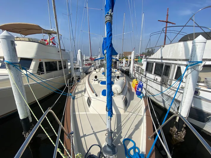 Babe Yacht Photos Pics 