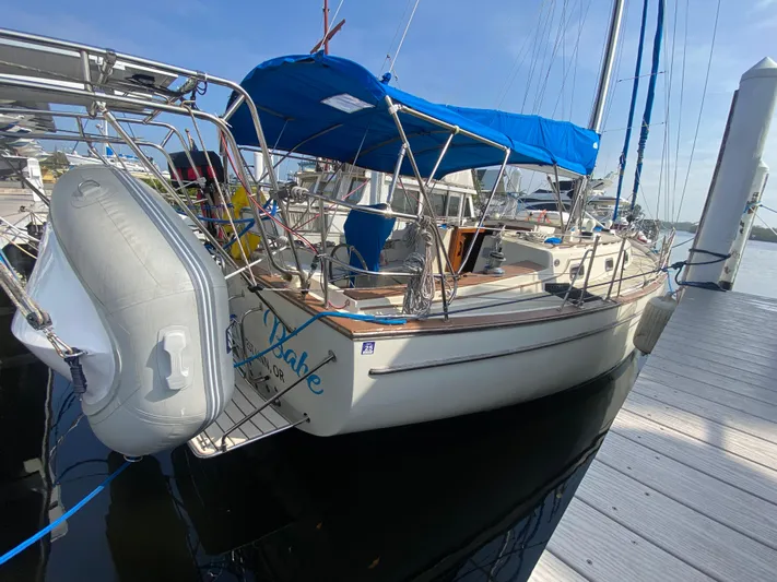 Babe Yacht Photos Pics 