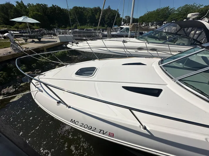 Harborviewbayview Yacht Photos Pics 2016 Sea Ray 330 Sundancer docked at marina, surrounded by lush greenery.