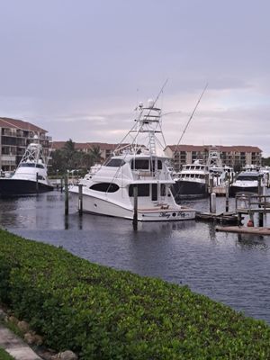 Yacht