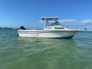 Grady-White Explorer 24