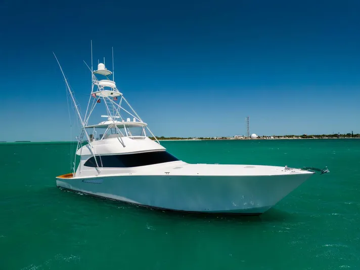 Mighty Mouse Yacht Photos Pics 