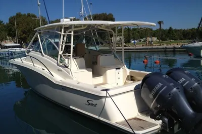 Scout 350 Abaco