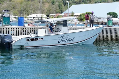 Custom KSB 376 V-Rogue