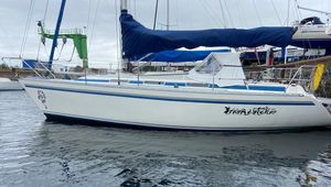 1990 Dynamic 30