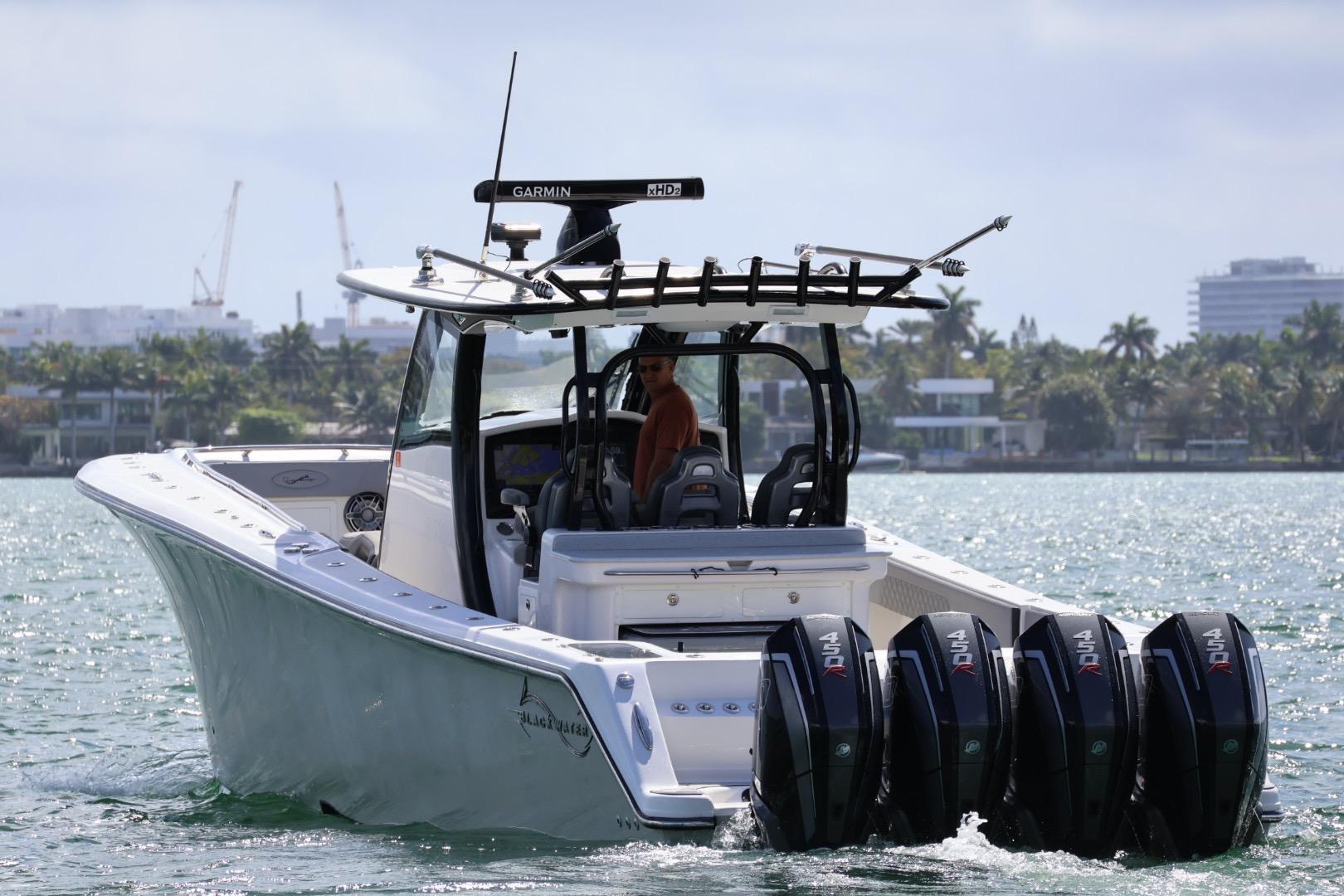 Blackwater 41 Performance Fish