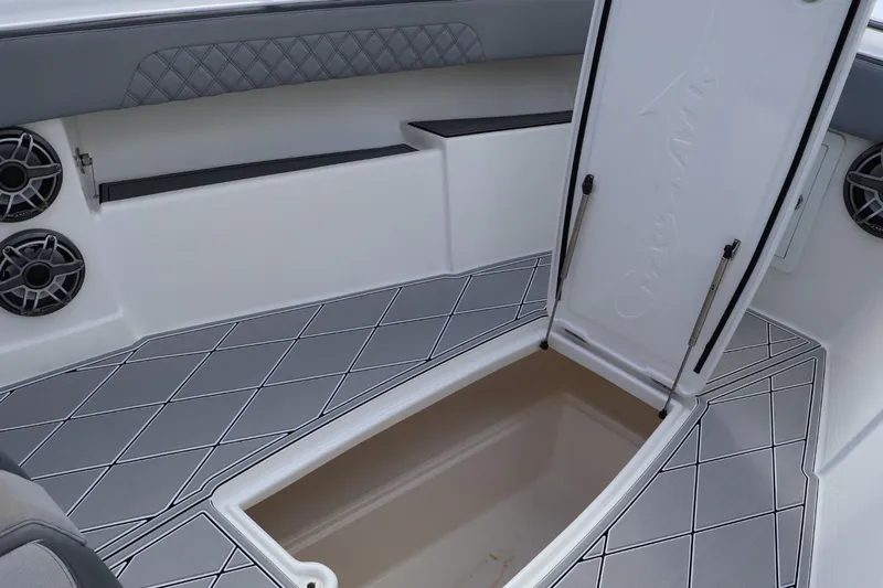  Yacht Photos Pics 2020 Blackwater 41 Performance Fish boat interior with open storage compartment and speakers.