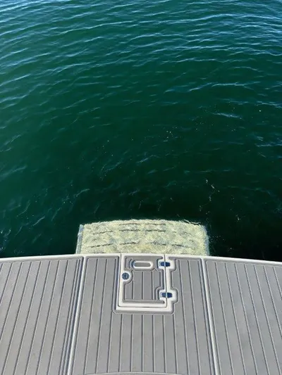  Yacht Photos Pics 2019 Regal 35 Sport Coupe - Image 9