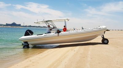 Ocean Craft Marine Transport and Tour 9.5M