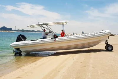 2022 Ocean Craft Marine Transport and Tour 9.5M
