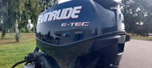 2010 Evinrude Etec 25 DPL