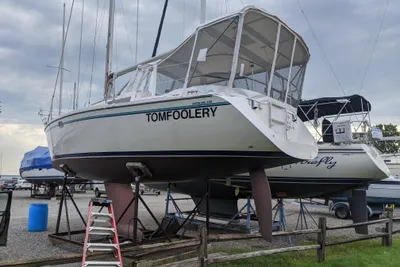 Catalina 320