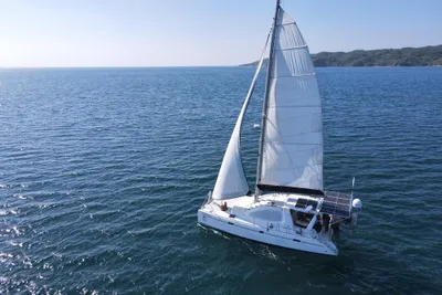 Leopard 40