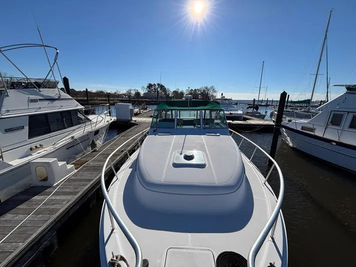 Island Time Yacht Photos Pics 