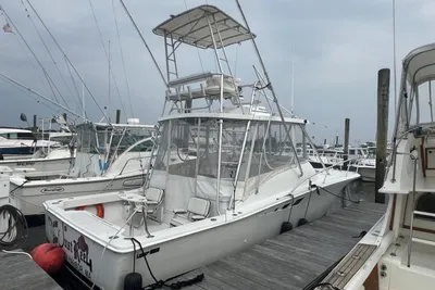 Luhrs 320 Open