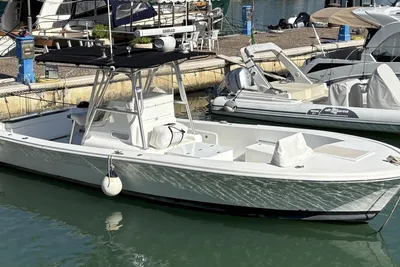 2006 Striker 29 open
