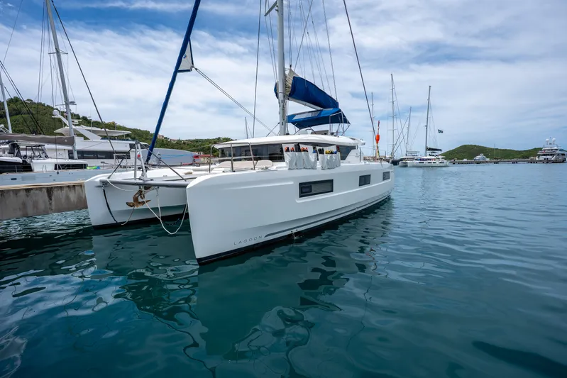 Starry Night Yacht Photos Pics 2022 Lagoon 46 catamaran docked in a serene marina setting.