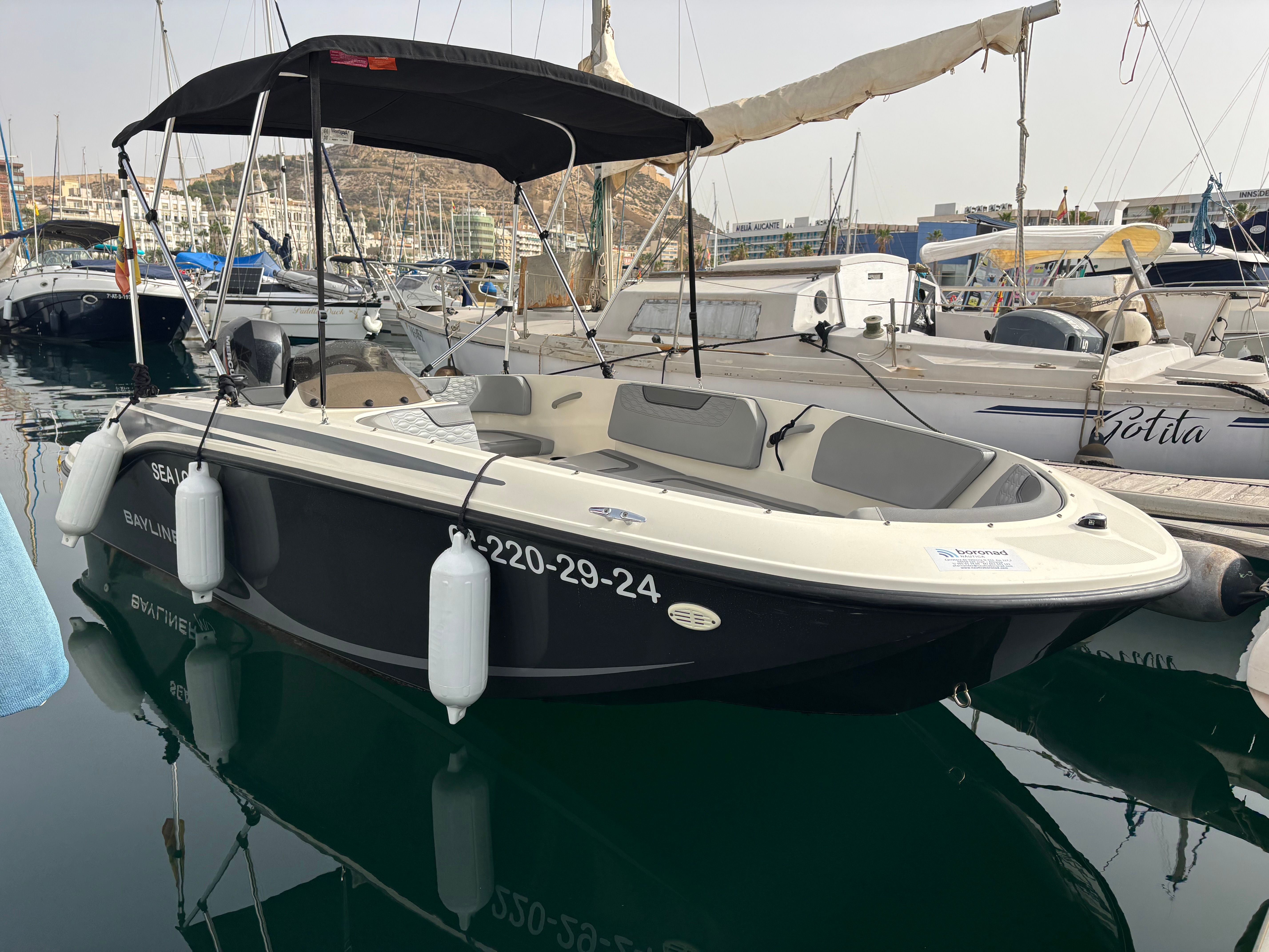 2024 Bayliner Element M15