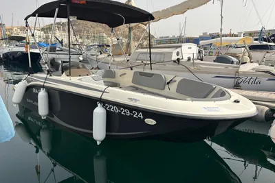 2024 Bayliner Element M15