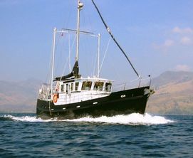 Seahorse DIESEL DUCK 462